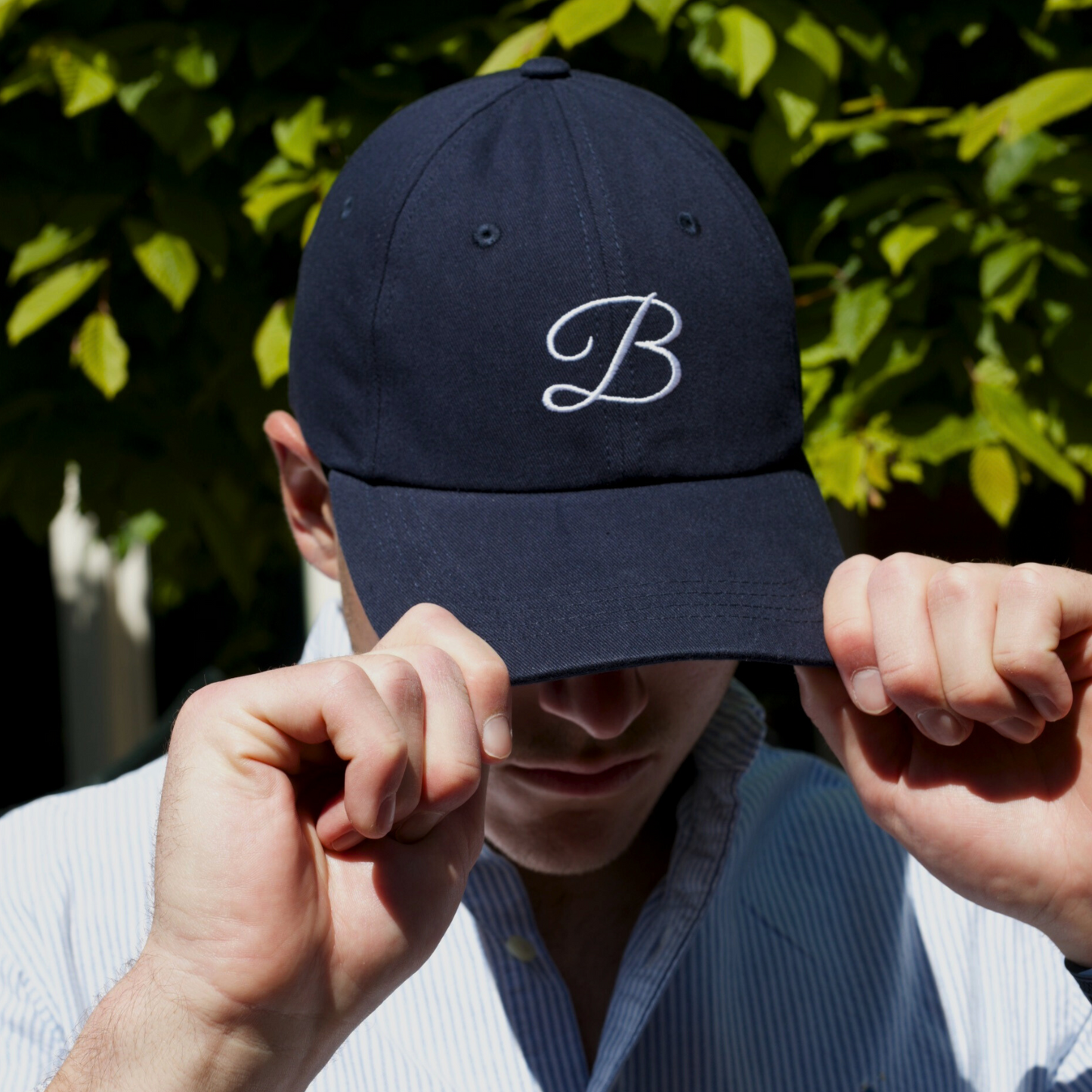 The Bridge Owners Cap