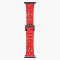 The Cerda Strap