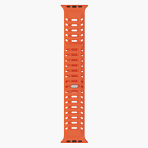 The Polaris Strap