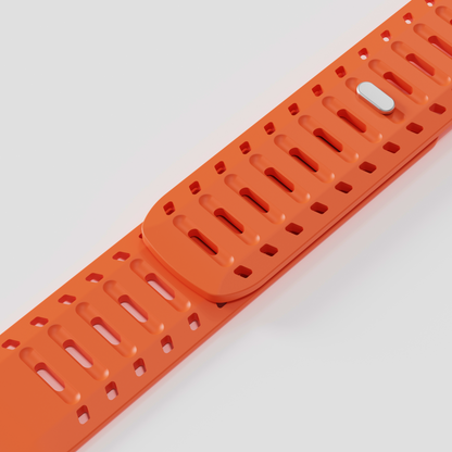 The Polaris Strap