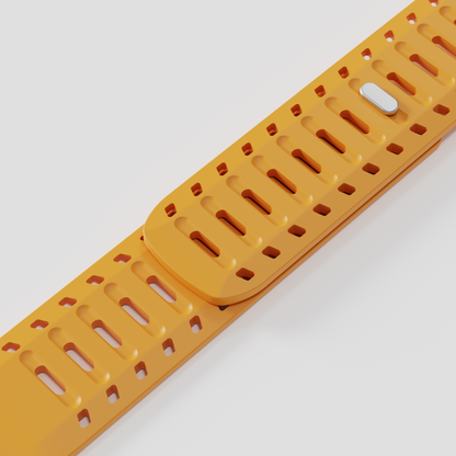 The Polaris Strap